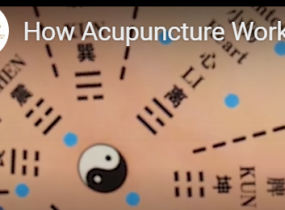 How Acupuncture Works
