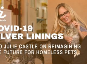 Reimagining the role of animal shelters and communities to support people with pets and save at-risk pets