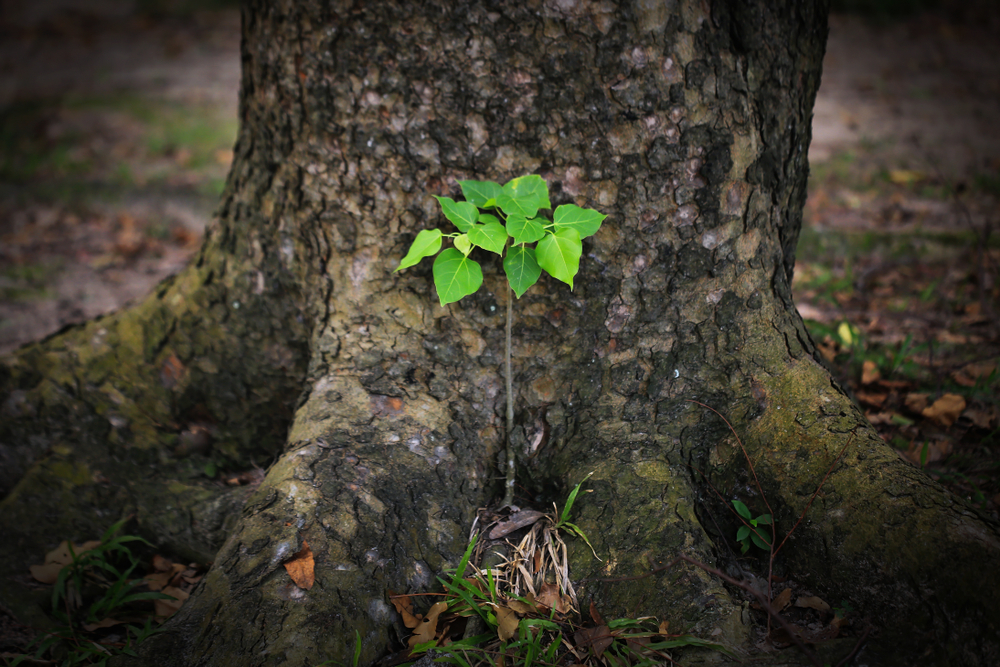 A Talk On Moral Courage